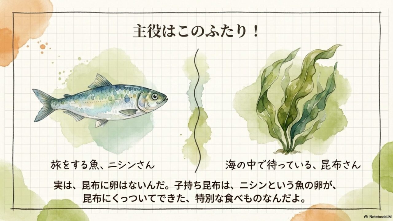 子持ち昆布の正体はニシンの卵と昆布。何の卵か図解したスライド
