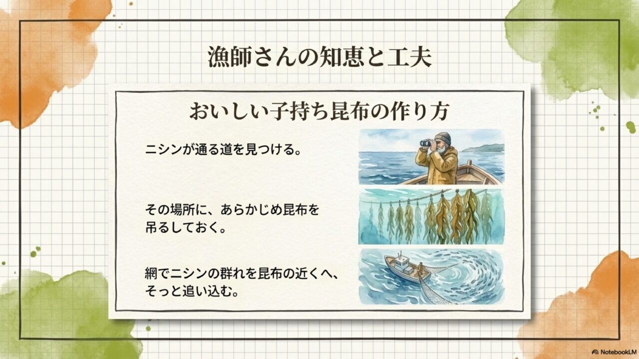 子持ち昆布の作り方。漁師が昆布を海に吊るして準備する様子